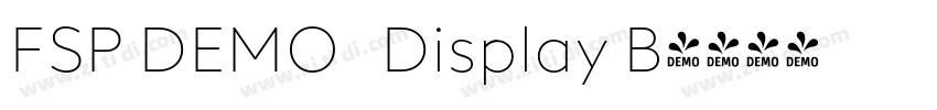 FSP DEMO   Display B字体转换